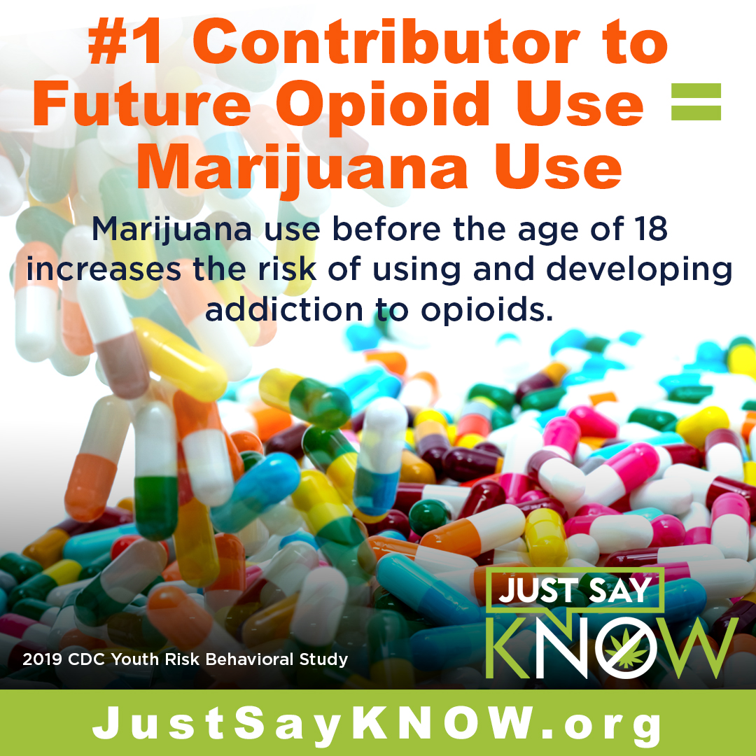 Teens and opioids