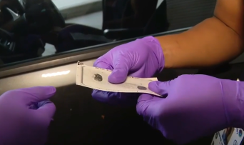 Fingerprints (Fox 13 Tampa Bay)