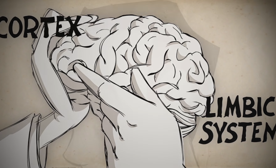 Addiction series screenshot
