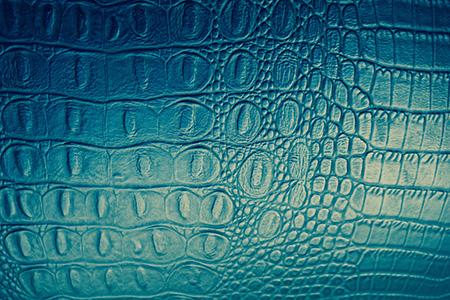 crocodileskin_gallery
